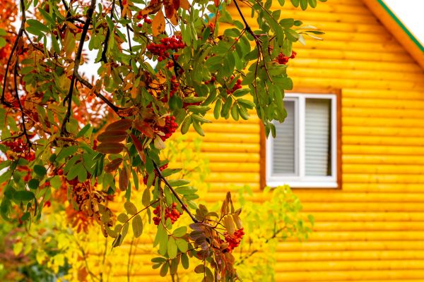 Garden Window Replacement in Ellicott City